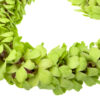 Leis Green - Image 2
