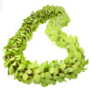Leis Green