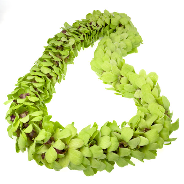 Leis Green