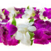 Leis Foliage - Image 2