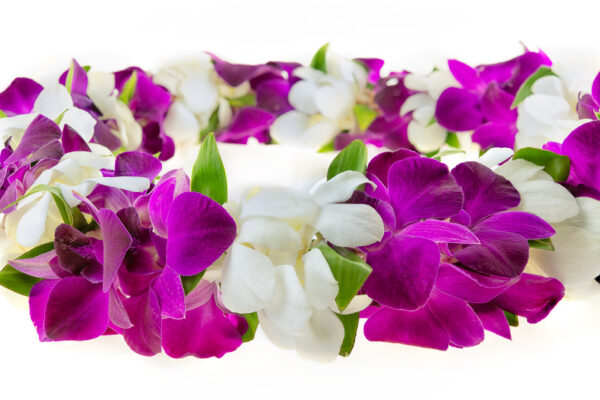 Leis Foliage - Image 2
