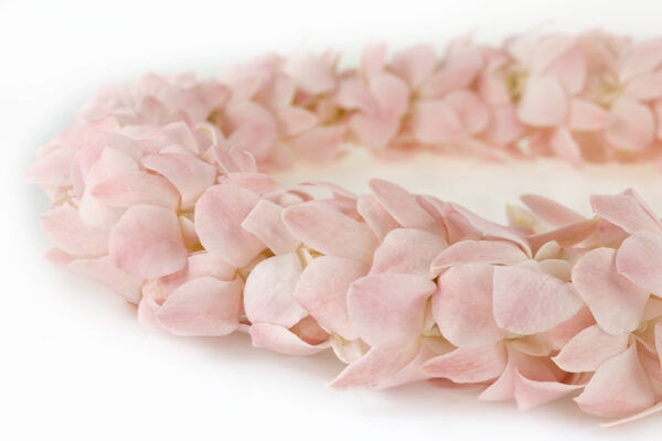Leis Pink - Image 2