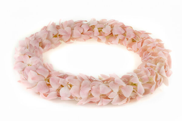 Leis Pink