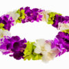 Leis Rainbow