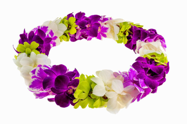 Leis Rainbow