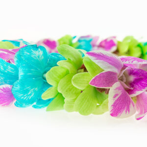 Leis Shower