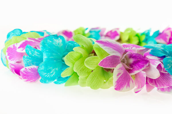 Leis Shower - Image 2