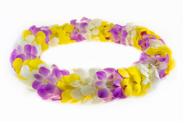 Leis Spring