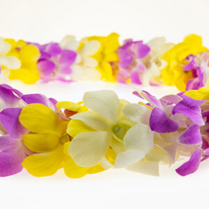 Leis Spring