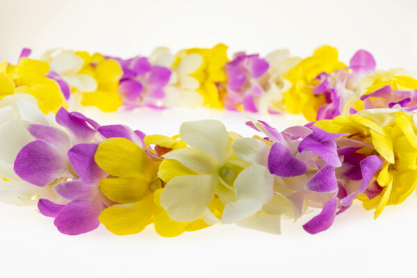 Leis Spring - Image 2