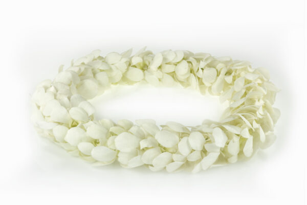 Leis White