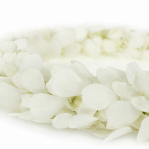Leis White