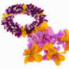 Leis Wrist