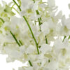 Sanan White Dendrobiums - Image 2