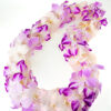 Leis Splash