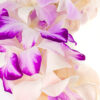 Leis Splash - Image 4