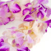 Leis Splash - Image 5