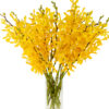 Tammy Yellow Mokaras