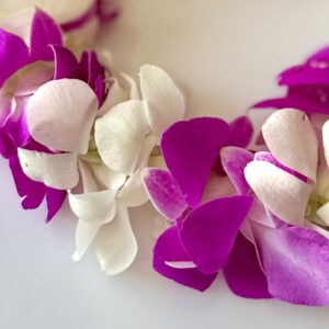 Leis Grace