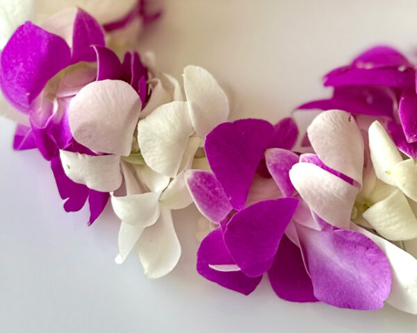 Leis Grace - Image 2