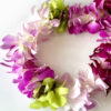 Leis Lucy