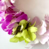 Leis Lucy - Image 2