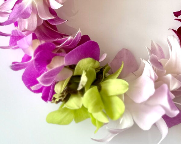 Leis Lucy - Image 2