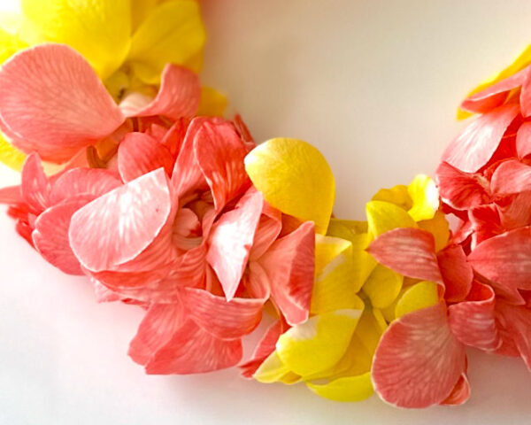Leis Peaches - Image 2