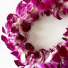Leis Sonia