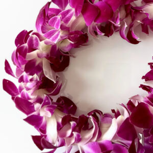 Leis Sonia