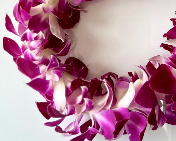 Leis Sonia - Image 2