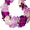 Leis Misteen - Image 2
