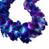 Leis Royal Blue - Image 2