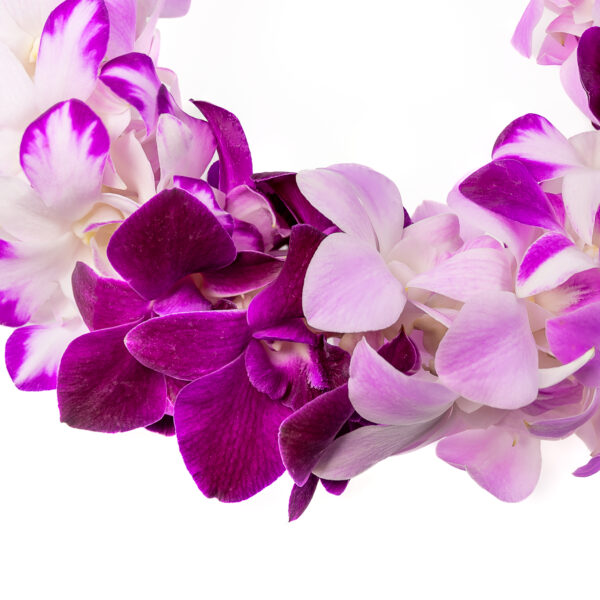 Leis Lilac - Image 2