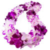Leis Lilac