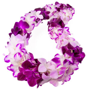 Leis Lilac