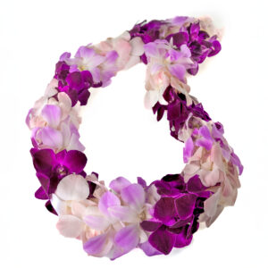 Leis Misteen